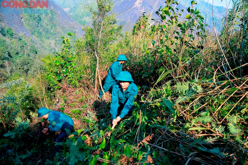 Sa Pa xuất hiện gió nóng và rất khô - cảnh báo dễ gây cháy rừng- Ảnh 3.