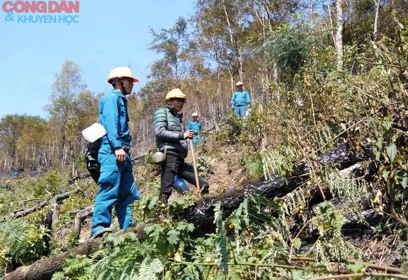 Sa Pa xuất hiện gió nóng và rất khô - cảnh báo dễ gây cháy rừng- Ảnh 4.