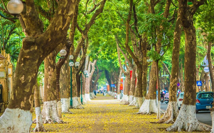 Hà Nội, Hội An, Thành phố Hồ Chí Minh lọt Top "100 thành phố tuyệt nhất thế giới để đi bộ khám phá"- Ảnh 6.