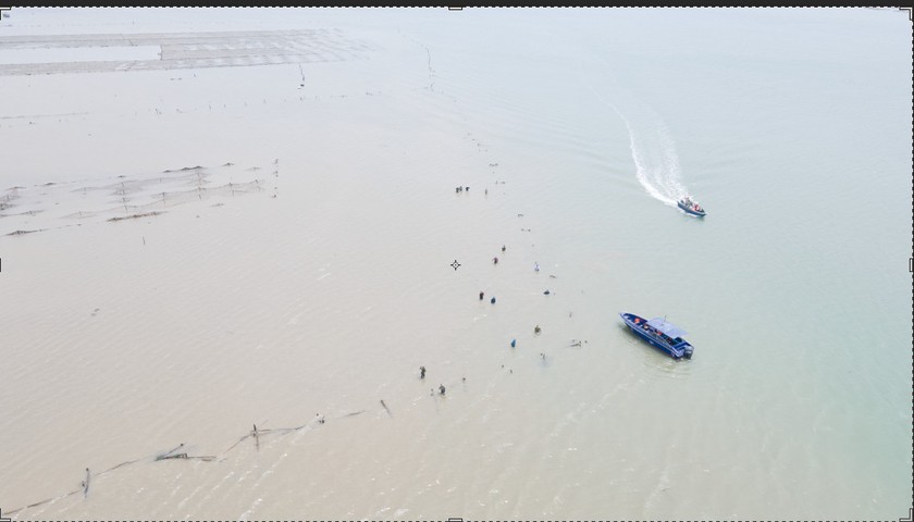 Móng Cái (Quảng Ninh) mạnh tay xử lý tình trạng lấn chiếm bãi triều nuôi trồng thủy sản trái phép- Ảnh 1.