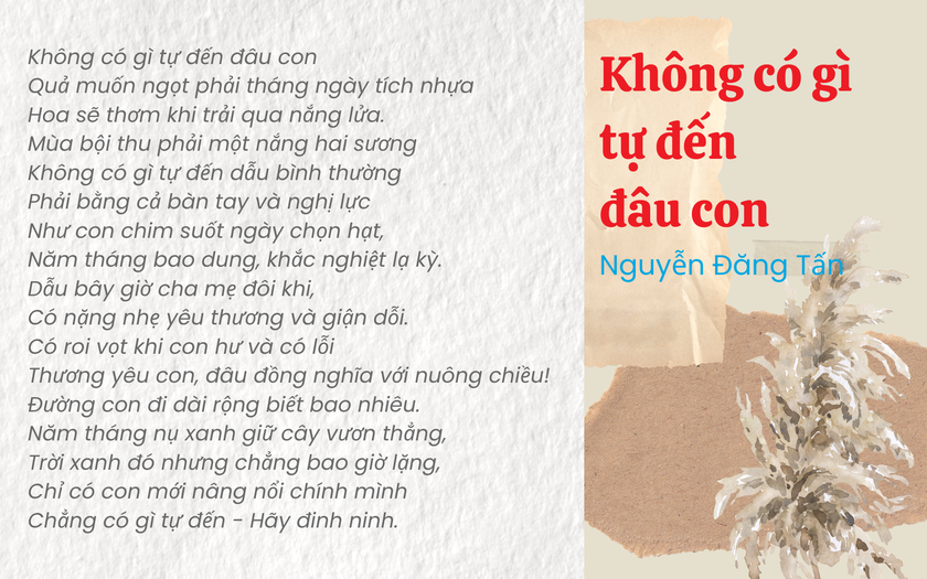 Bài thơ “Không có gì tự đến đâu con” (Nguyễn Đăng Tấn) vào đề kiểm tra Ngữ văn 10