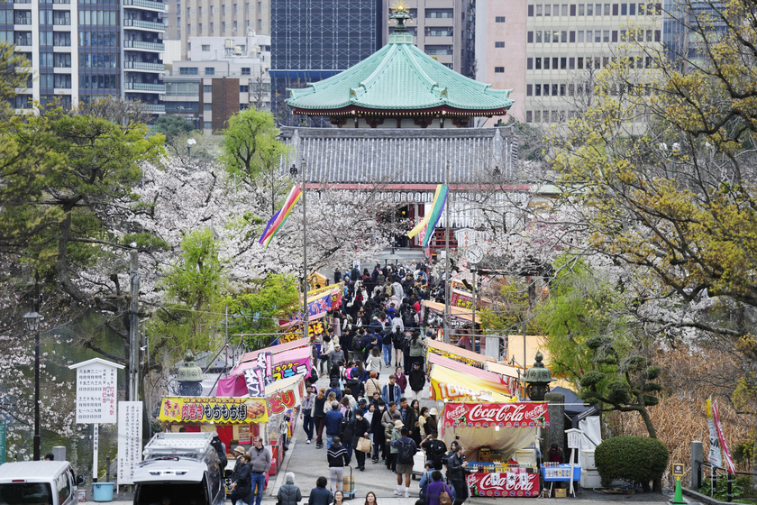 Người dân Tokyo hào hứng ngắm hoa anh đào nở rộ- Ảnh 2.