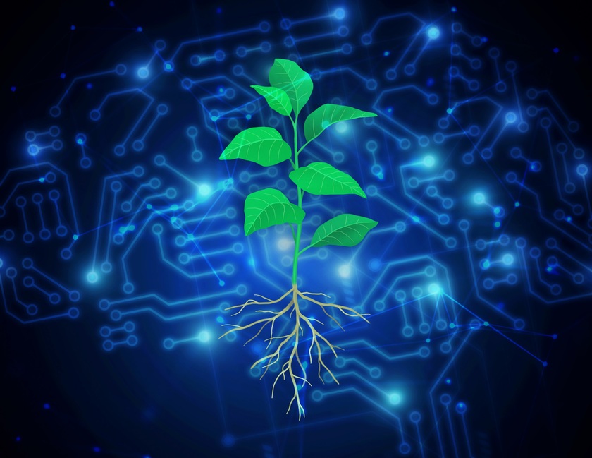 Cách mạng xanh: Sử dụng AI tạo ra cây trồng hấp thụ carbon chống biến đổi khí hậu- Ảnh 1.