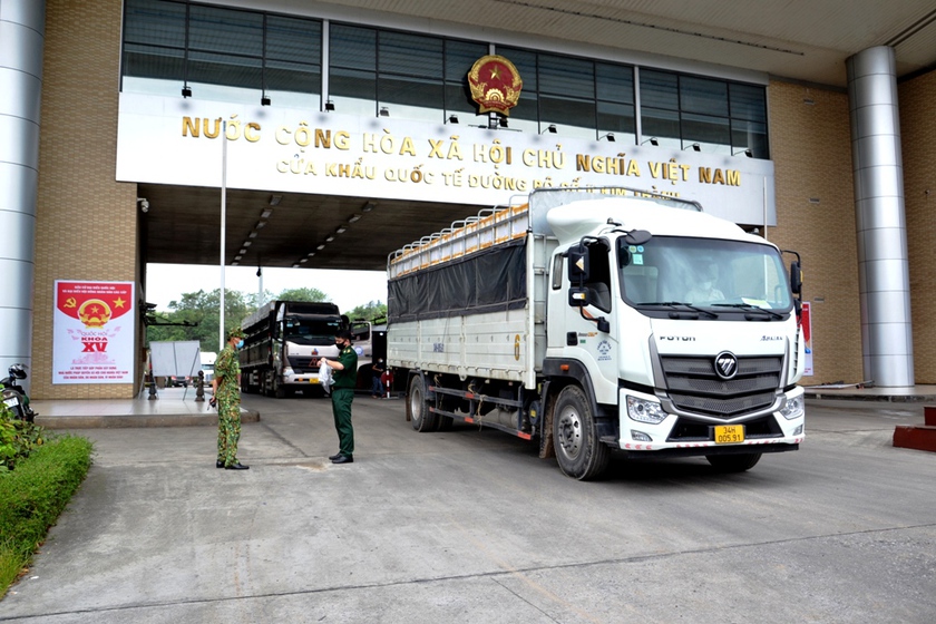Hơn 4.000 tấn quả vải tươi được xuất khẩu sang Trung Quốc qua cửa khẩu Kim Thành- Ảnh 1.