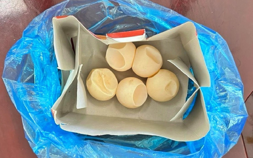 Mua bán trứng vích Côn Đảo bị phạt hơn 1 tỉ đồng- Ảnh 1.