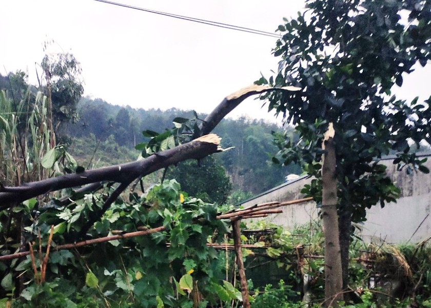 Lào Cai: Dông lốc mạnh kèm mưa đá làm hư hại hơn 160 nhà ở, trường học- Ảnh 6.