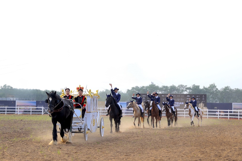 Ra mắt Học viện cưỡi ngựa duy nhất ở Việt Nam chuẩn phong cách hoàng gia- Ảnh 1.