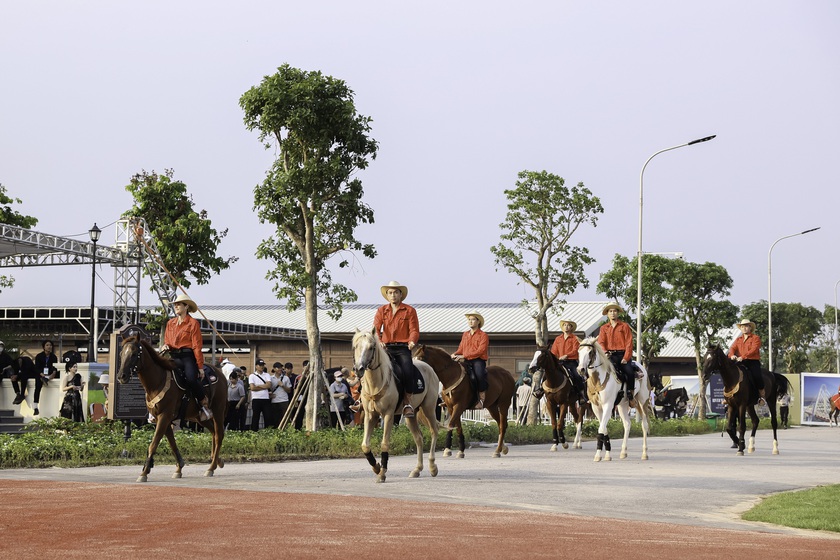 Ra mắt Học viện cưỡi ngựa duy nhất ở Việt Nam chuẩn phong cách hoàng gia- Ảnh 3.