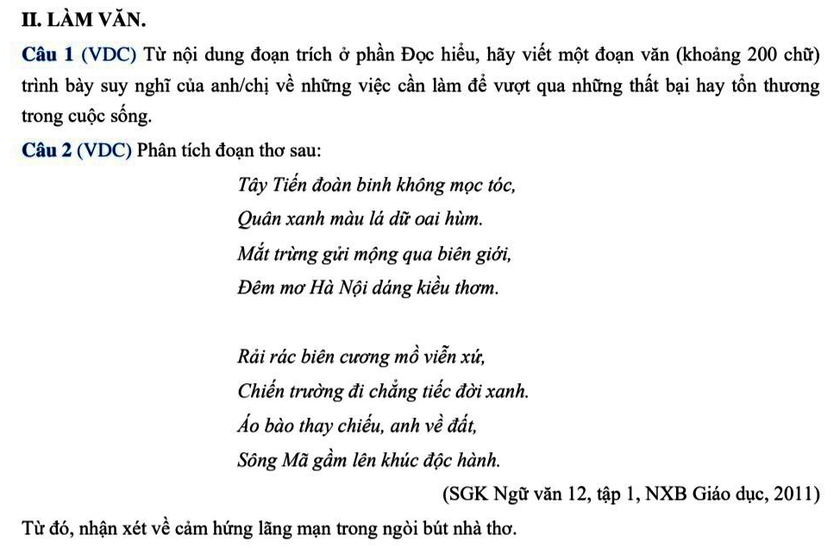 Đề thi Ngữ văn: Rồi một ngày cuộc sống hóa hư vô- Ảnh 2.