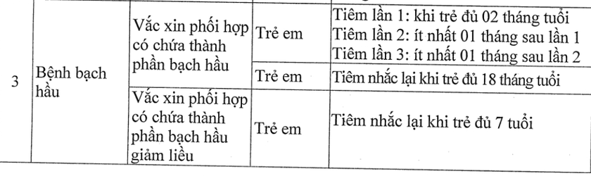 Bổ sung 1 liều vaccine phòng bệnh bạch hầu cho trẻ từ 1/8- Ảnh 1.