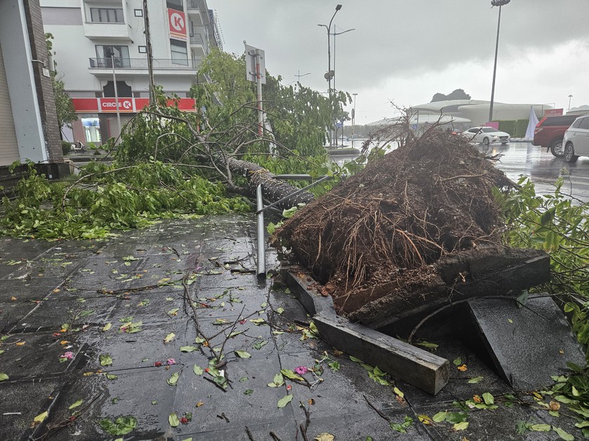 Di dời triệt để các hộ dân tại khu vực nguy cơ sạt lở do bão số 2 tại Quảng Ninh- Ảnh 3.