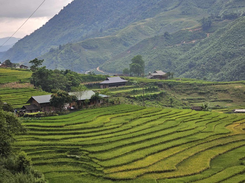 Bỏ phố lên Sa Pa nhâm nhi cà phê view "triệu đô" nhìn ra ruộng lúa bậc thang - Ảnh 2.