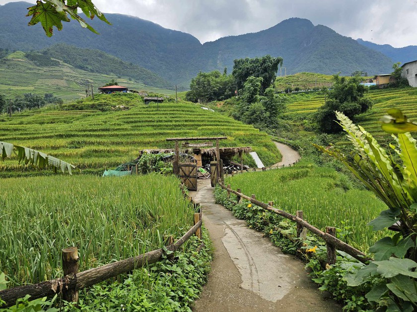 Bỏ phố lên Sa Pa nhâm nhi cà phê view "triệu đô" nhìn ra ruộng lúa bậc thang - Ảnh 3.