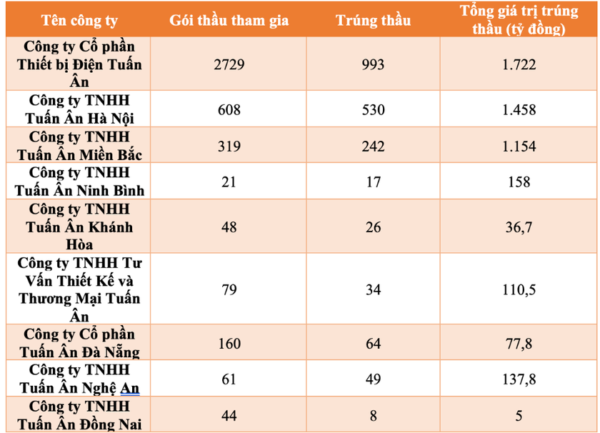 Đội hình liên tiếp trúng thầu hệ sinh thái EVN là ai?- Ảnh 2.