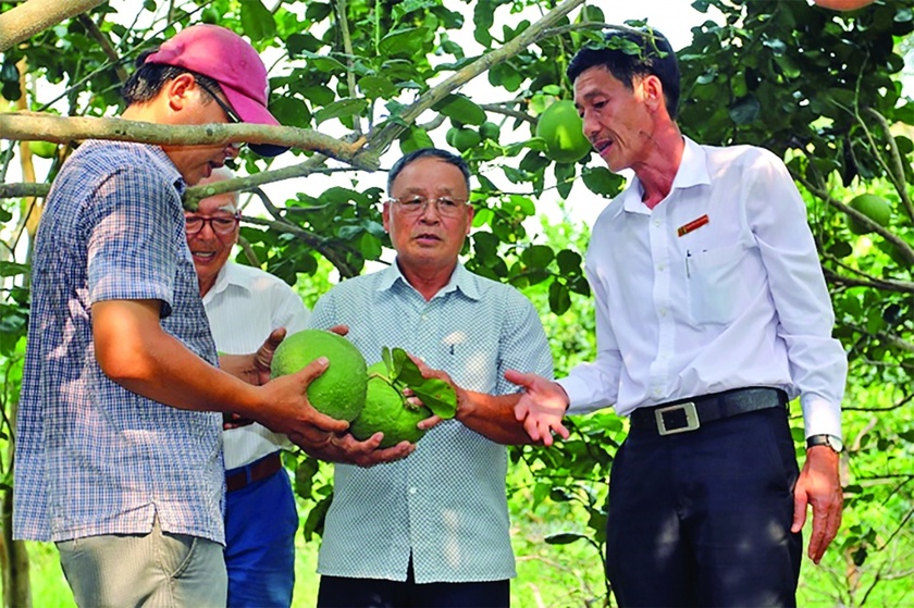 Agribank hợp sức xây dựng vùng nguyên liệu nông, lâm sản- Ảnh 1.