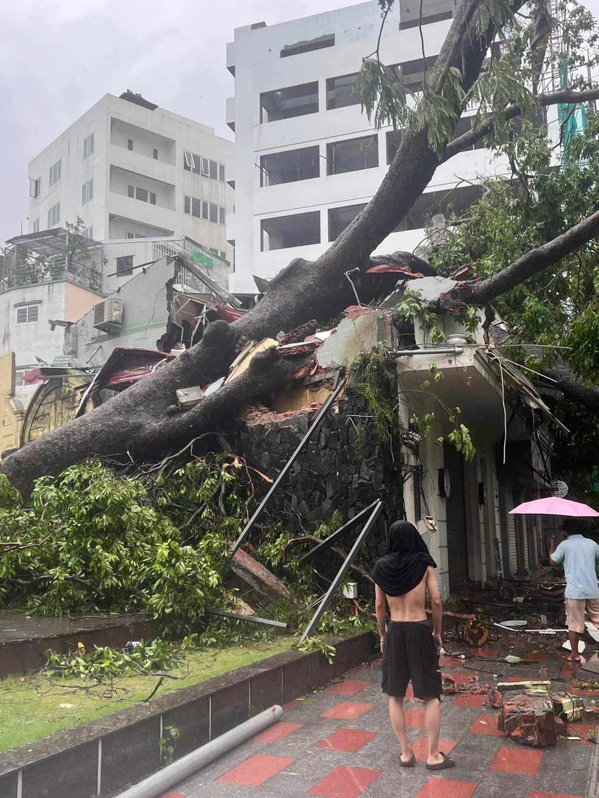 Thủ tướng Chính phủ biểu dương tinh thần chia sẻ sau bão số 3 của Hải Phòng và Quảng Ninh - Ảnh 3.