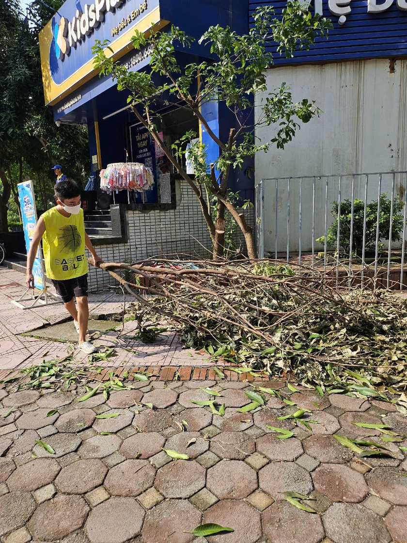 Chuyện của "cư dân nhí C2" trong ngày tổng vệ sinh sau bão- Ảnh 1.