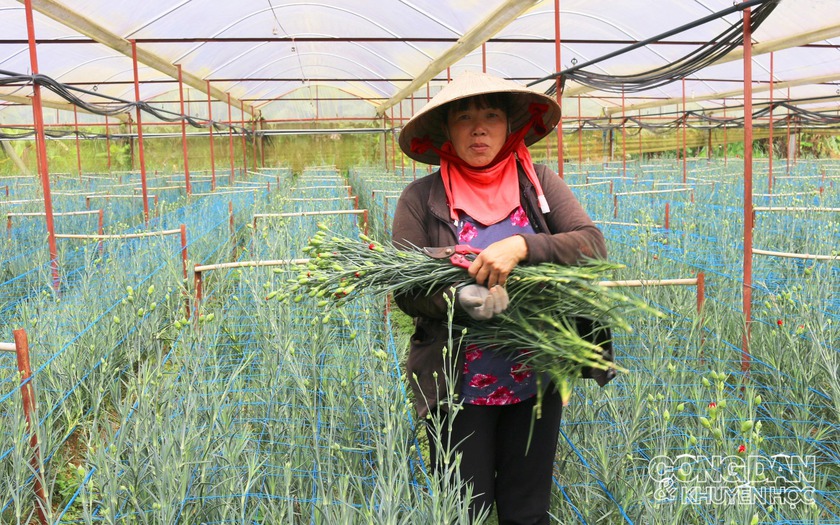 Đại dương đổi màu xanh lá, điều gì đe doạ sự sống trên Trái đất? - Ảnh 8.