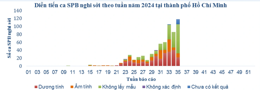 Thành phố Hồ Chí Minh tăng 53,7% ca sốt phát ban nghi sởi- Ảnh 2.