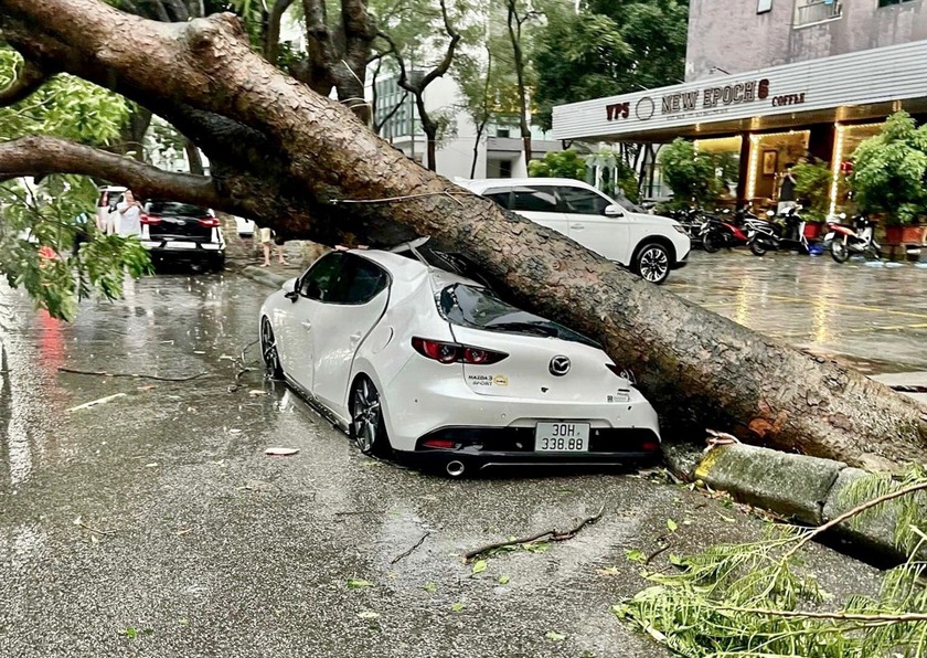 Chủ tịch Thành phố Hà Nội giao nhiệm vụ cụ thể về phòng chống bão số 3 (Yagi) - Ảnh 1.