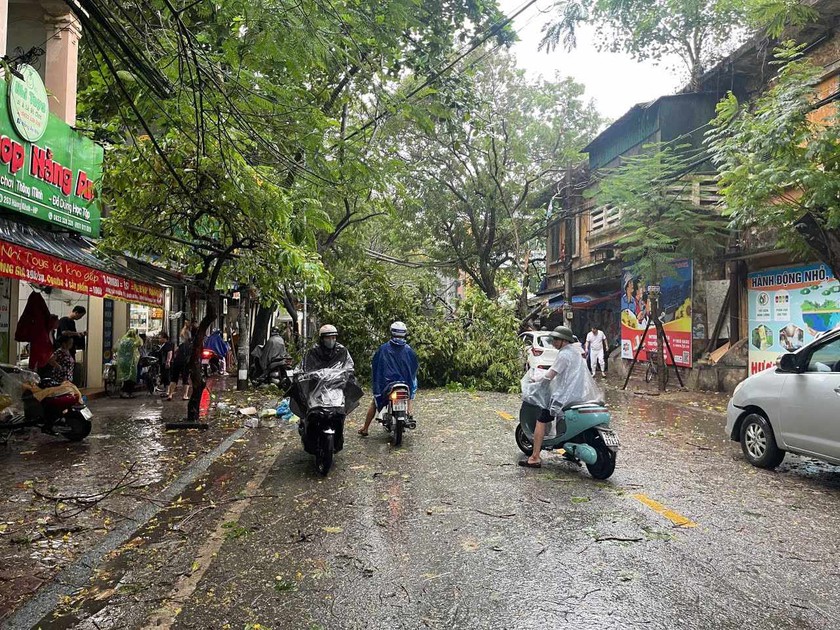 Hải Phòng cấm cầu, một số khu vực bị cắt điện, nhiều cây xanh gãy đổ - Ảnh 5.