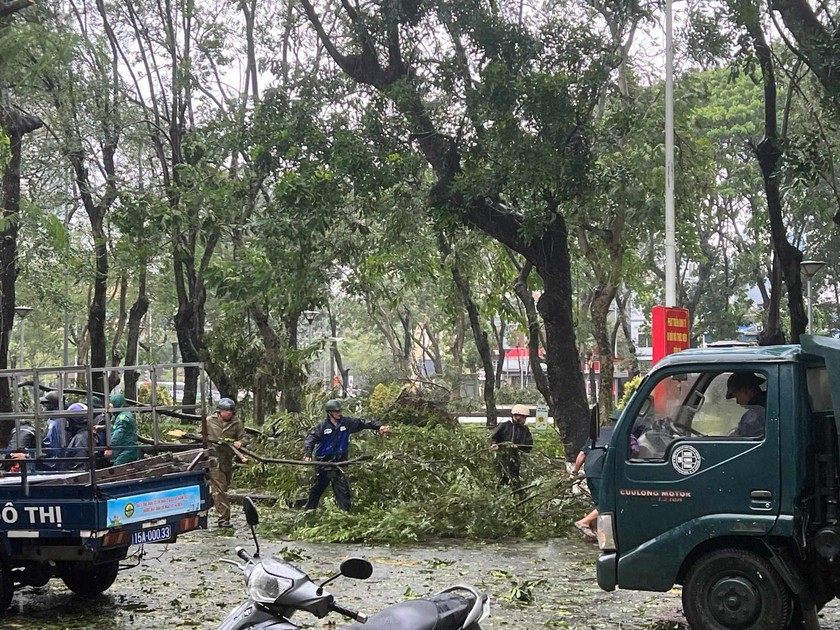 Hải Phòng cấm cầu, một số khu vực bị cắt điện, nhiều cây xanh gãy đổ - Ảnh 4.