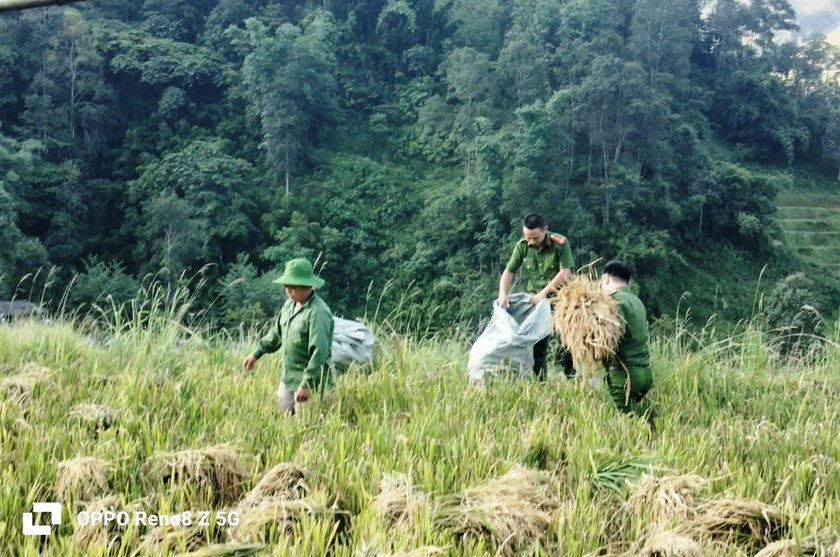 Sa Pa giúp dân sơ tán, di chuyển tài sản tránh hoàn lưu bão số 3 - Ảnh 2.