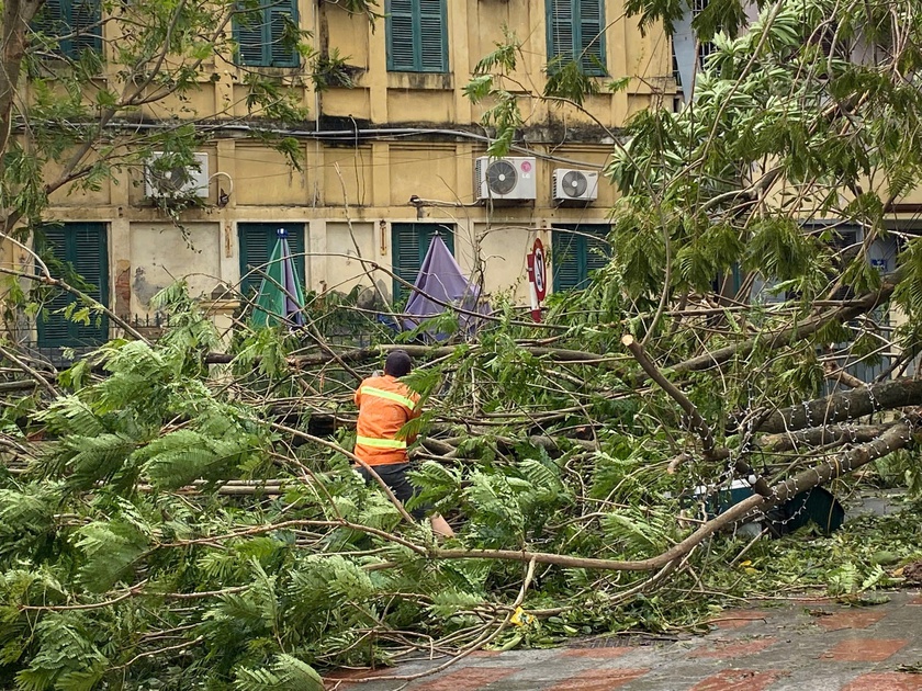 Hải Phòng thiệt hại nặng nề sau báo số 3 - Ảnh 10.