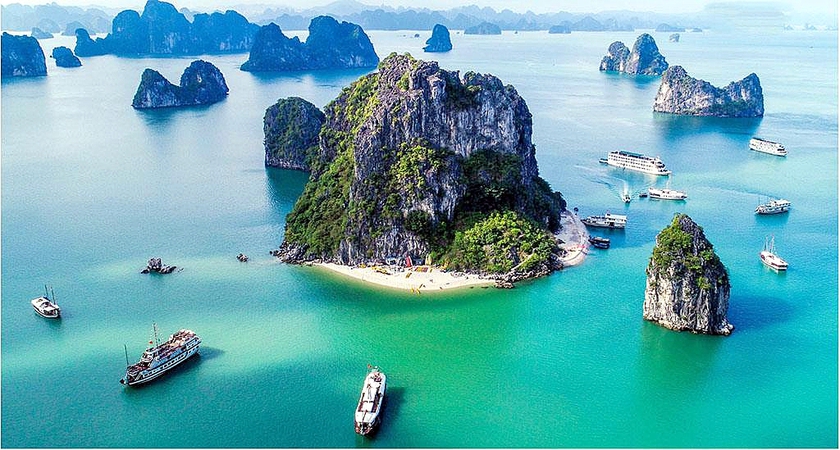 Bảo vệ đa dạng sinh học, Quảng Ninh lập khu bảo tồn biển - Ảnh 5.