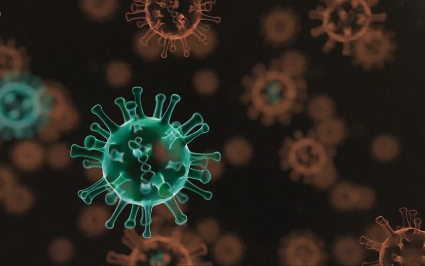 Biến thể phụ BA.4 và BA.5 gây ra gần 13% số ca mắc mới COVID-19 tại Mỹ trong tuần qua - Ảnh 1.