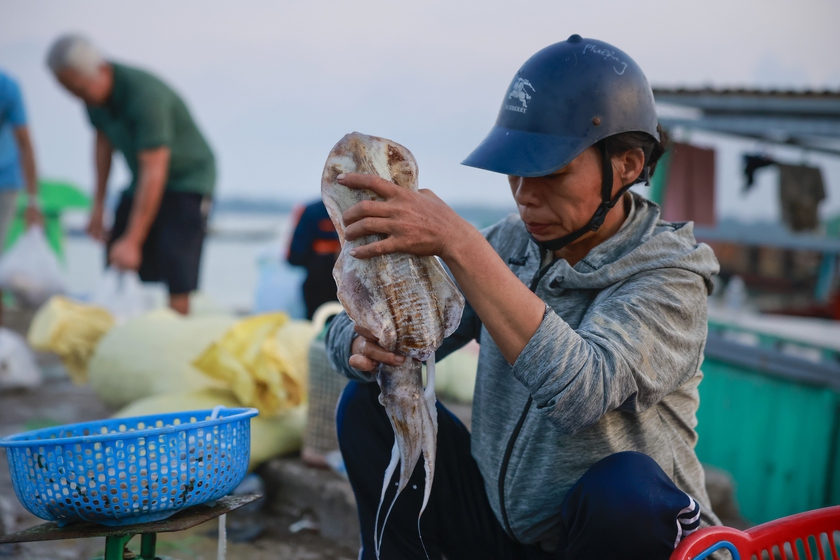 Bảo vệ đa dạng sinh học, Quảng Ninh lập khu bảo tồn biển - Ảnh 2.