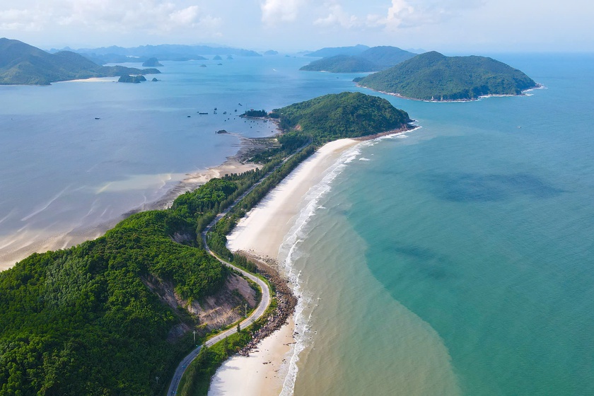 Bảo vệ đa dạng sinh học, Quảng Ninh lập khu bảo tồn biển - Ảnh 4.
