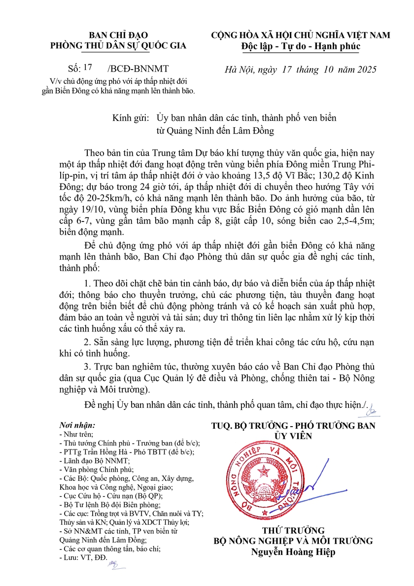Chủ động ứng phó với áp thấp nhiệt đới gần Biển Đông có khả năng mạnh lên thành bão - Ảnh 2.