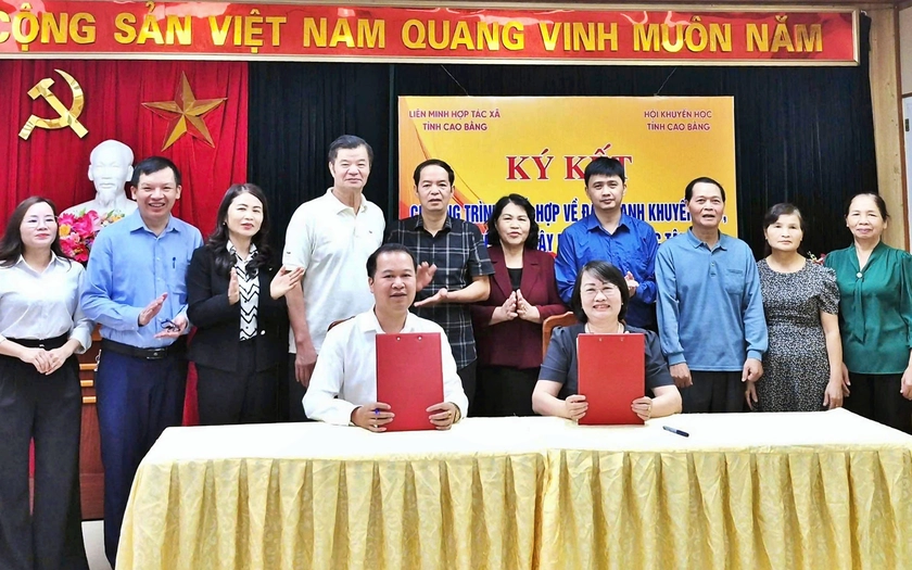 Hội Khuyến học tỉnh Cao Bằng: Phối hợp, đẩy mạnh khuyến học, khuyến tài, xây dựng xã hội học tập giai đoạn 2025-2030 - Ảnh 1.