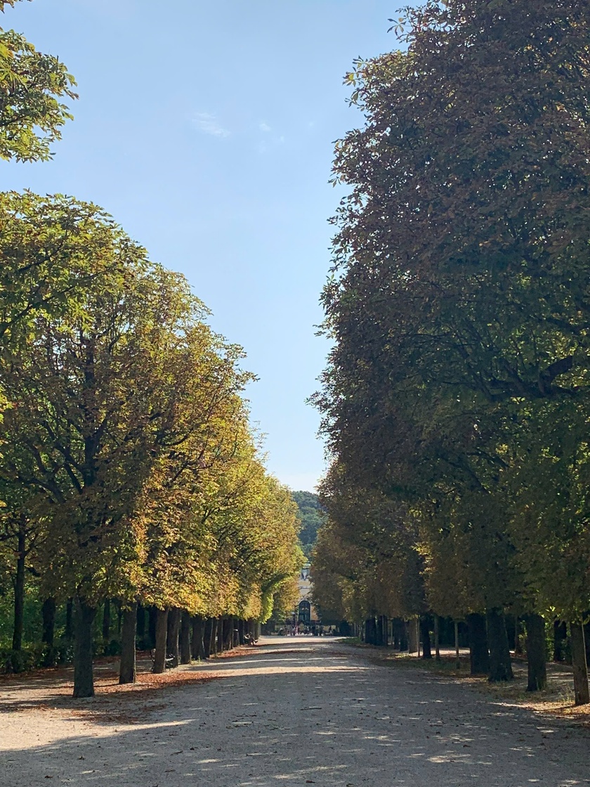 Khám phá Vienna, thủ đô nước Áo, thành phố được mệnh danh là nơi đáng sống nhất thế giới - Ảnh 14.