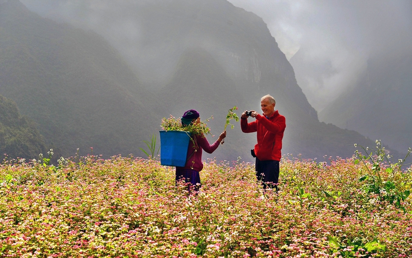 Hội An, cung đường Hà Giang nổi trội trong các điểm đến du lịch thu - đông - Ảnh 7.