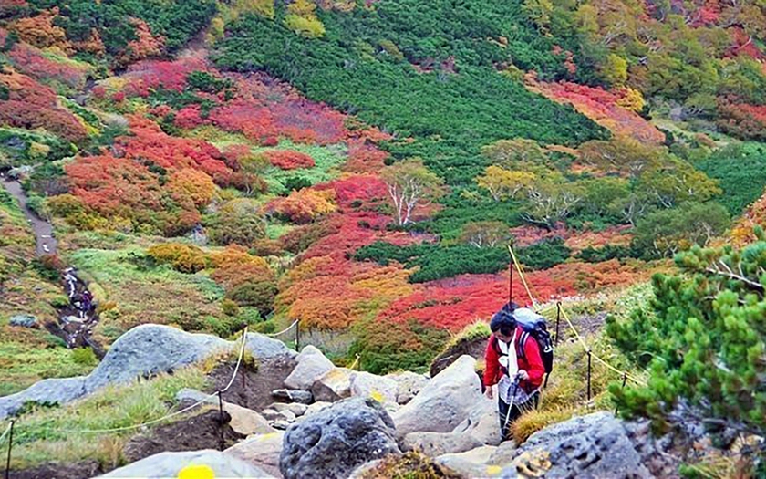 Hội An, cung đường Hà Giang nổi trội trong các điểm đến du lịch thu - đông - Ảnh 8.