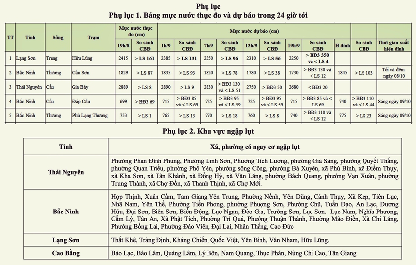 Cảnh báo sạt lở đất tại Lào Cai, Tuyên Quang, Cao Bằng, Thái Nguyên Bắc Ninh, lũ đặc biệt lớn trên sông Cầu, sông Thương - Ảnh 3.