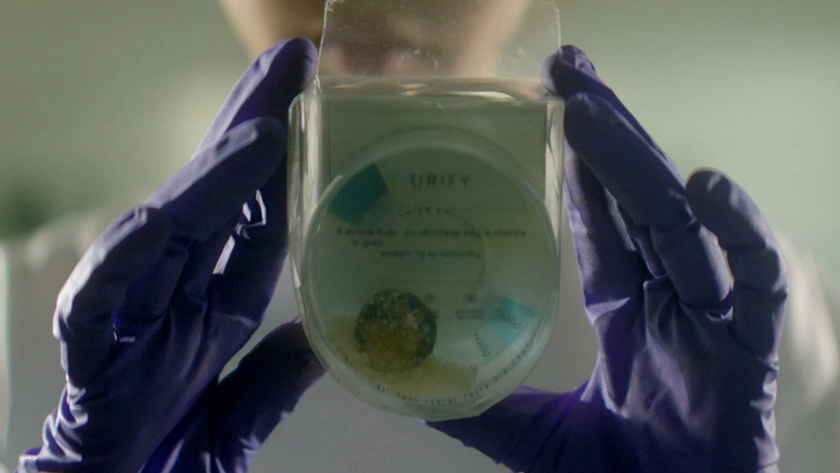 Bí mật ẩn giấu trong viên tẩy bồn cầu Urify: Không chỉ khử trùng, còn chẩn đoán bệnh thận - Ảnh 3.