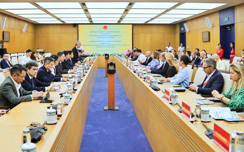 Hải Phòng hợp tác phát triển cảng biển và logistics với Vương quốc Hà Lan - Ảnh 6.