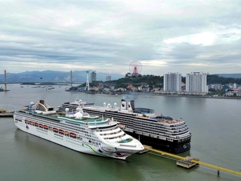 Nỗi niềm "quê nhà tôi ơi, xứ Đoài xa vắng" từ các du khách Việt kiều - Ảnh 1.