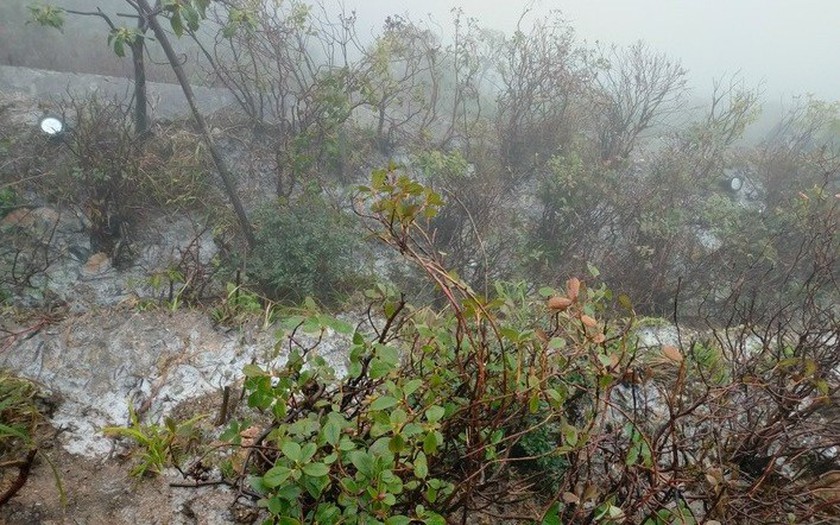 Ngày 17/11, không khí lạnh sẽ ảnh hưởng đến Đông Bắc Bộ và Bắc Trung Bộ. Ảnh minh hoạ: IT