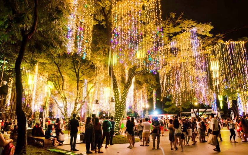 Việt Nam với các điểm săn hoa đào, hoa anh đào trong "cơn sốt" du lịch Đông Nam Á - Ảnh 5.