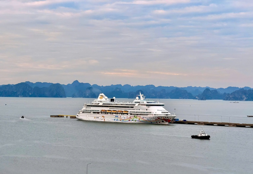 Quảng Ninh: 520 đơn vị du lịch tham gia "Ngày Lữ hành Việt Nam 2025" - Ảnh 6.