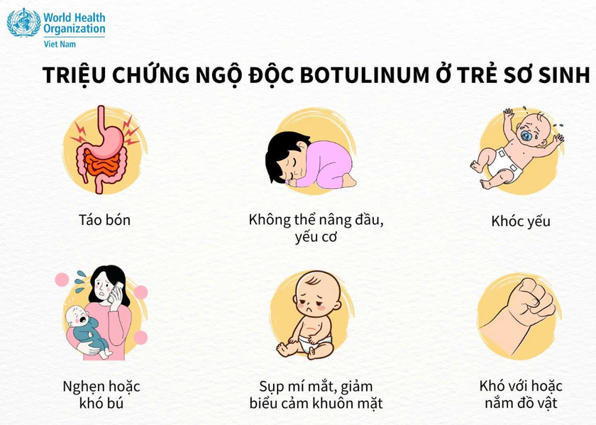 Bộ Y tế cảnh báo sữa ByHeart Whole Nutrition nhiễm khuẩn gây ngộ độc ở trẻ sơ sinh - Ảnh 2.