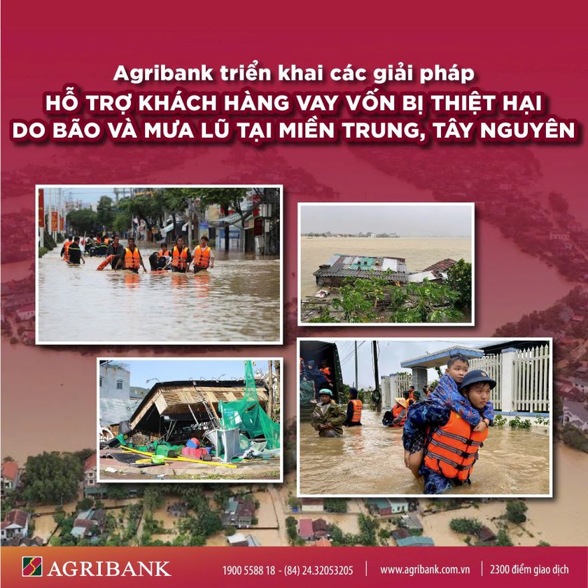 Agribank triển khai chính sách giảm 2% lãi suất cho vay hỗ trợ khách hàng bị thiệt hại do bão và mưa lũ- Ảnh 1.