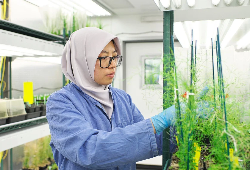 An ninh lương thực trước thách thức lịch sử: Giải pháp từ những trí tuệ tại Tuần lễ Khoa học Công nghệ VinFuture 2025- Ảnh 2.