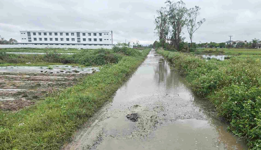 Lên phương án đưa vào sử dụng một trường học tại Nghệ An bị bỏ hoang sau 1 năm bàn giao - Ảnh 2.