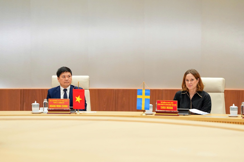 Tăng cường hợp tác phát triển năng lượng tái tạo, Cảng biển xanh giữa Hải Phòng và Thụy Điển - Ảnh 2.