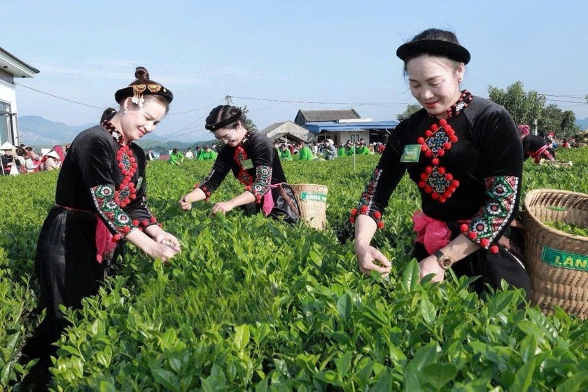 Lễ hội “Thái Nguyên - Hương sắc danh trà” - Ảnh 2.